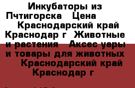  Инкубаторы из Пчтигорска › Цена ­ 35 000 - Краснодарский край, Краснодар г. Животные и растения » Аксесcуары и товары для животных   . Краснодарский край,Краснодар г.